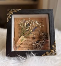 Image 2 of Honey & Decay
