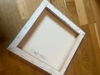 Image 3 of Pied wagtail