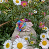 Tutti-frutti colourful hedgehog 