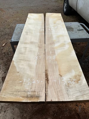 curly silver maple panel bookmatch