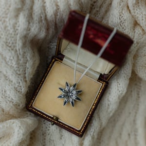 Image of Star Anise Pendant