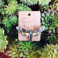 Death's-Head Moth Illustrated Wooden Brooch Pin