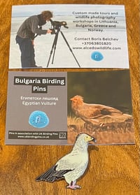 Image 1 of Bulgarian Birding Pins - Choose A Species