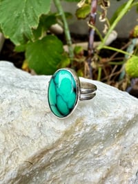 Image 2 of Dry Desert Oasis Variscite Ring