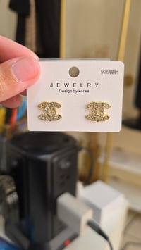 Fashion Earrings (style 22)