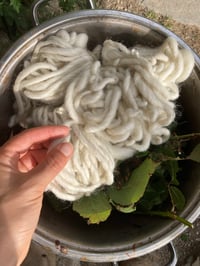 Image 13 of Made to Order: Mugwort Dreaming