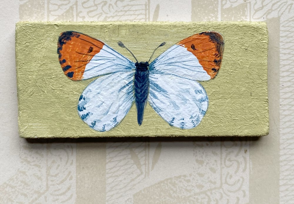 Image of Miniature butterfly painting (A)