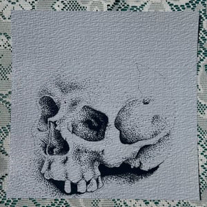 Image of Stippling Skull