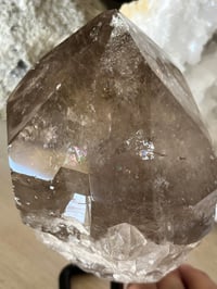 Image 11 of Golden Rutile Smoky Quartz Natural Point On Stand #2664