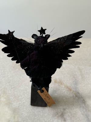 Image of Galaxy girl faux taxidermy mouse