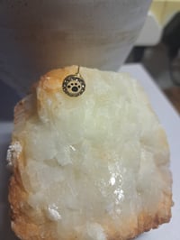 Image 2 of Paws 🐾 