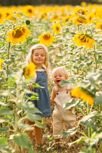 Image 1 of SUN 16th AUGUST -Sunflower mini session