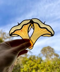 Image 1 of Chantrelle Mushroom suncatcher