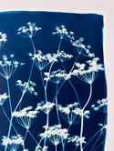 Original Flowering Cyanotype