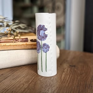 Image of Daisy Range