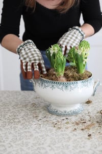 Image 1 of Gants de jardinage