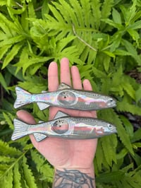 Image 1 of Steelhead Trout