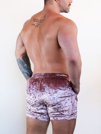 Image 2 of THE HARD CANDY SHORTS