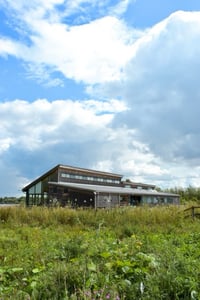 Image 4 of Painting Workshop at Idle Valley Nature Reserve