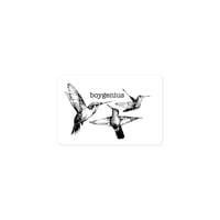 boygenius hummingbirds sticker