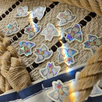 Sea Angels