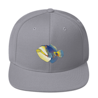 Image 1 of Picasso Triggerfish Snapback Hat