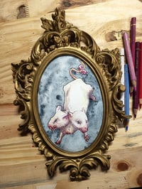 Image 1 of Les souris