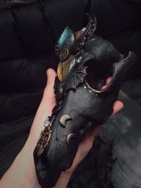 Image 7 of Spellbound adorned coyote skull 