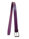 29 Belt