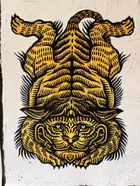 Image 1 of The flat tiger