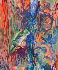Image 2 of Freddo