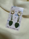 Philodendron dangles 