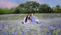 Image 1 of Texas Bluebonnet & Wildflower Mini-Session