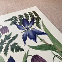 Image 2 of Spring in the Shade Art Print 