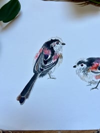 Image 2 of "Long Tailed Tits" Original