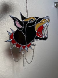 Image 3 of Doberman 