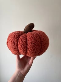 Image 2 of Fluffy pumpkin - Large.