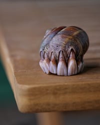 Image 8 of Dental Snull sculpture- dark walnut color, OOAK