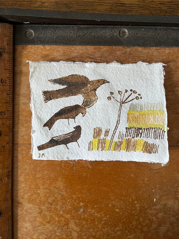 Image of Three birds in a stubble field. 