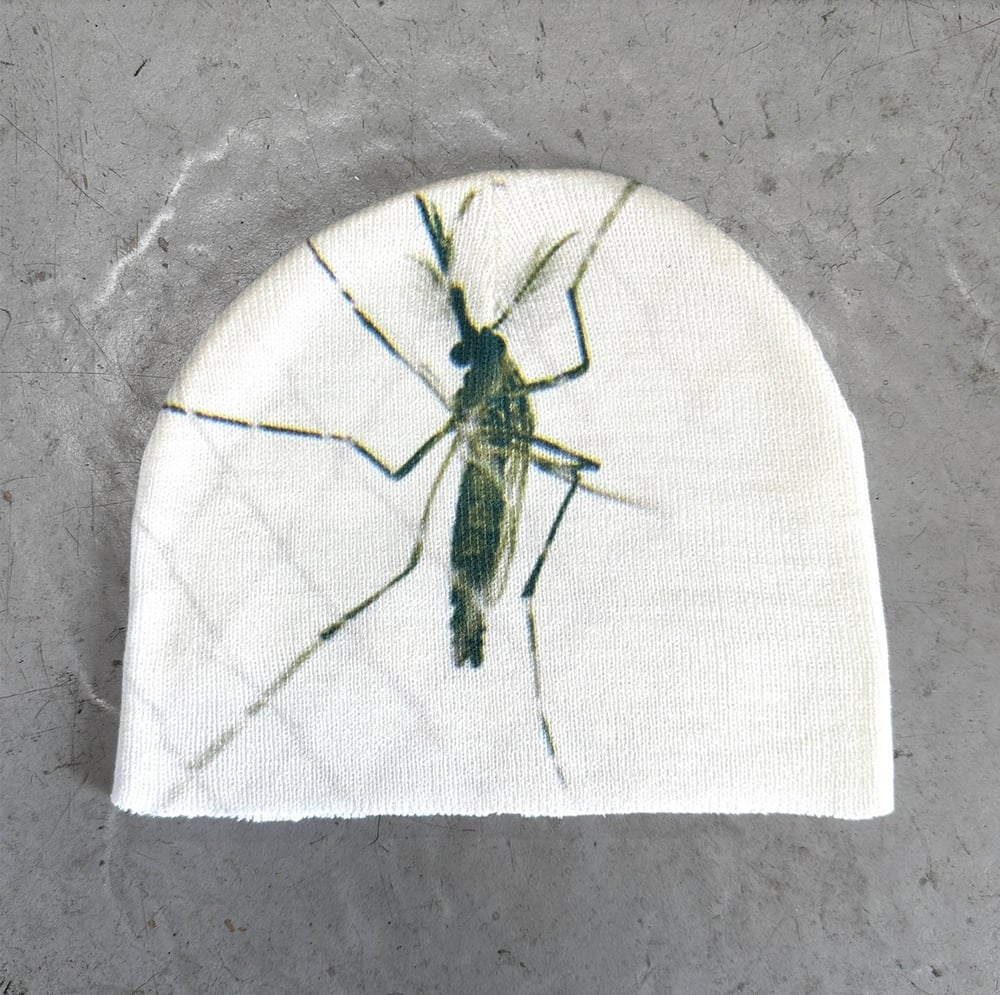 Image of Beanie No. 002