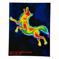 Warm Blooded Animal - Print