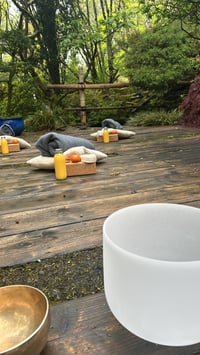 Image 8 of Japanese Garden Mini Sanctuary Session 