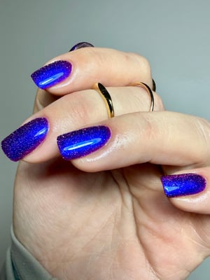 Image of Little box of Horrors