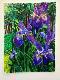 Image 2 of Iris Study
