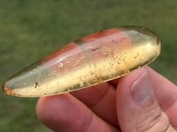 Image 6 of Copal Amber With Preserved Insects #2629