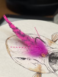 Image 2 of Mottled Polly Wog