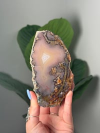 Image 1 of PINKISH PURPLE MOSSY MOROCCAN AGATE