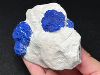 Image 7 of Azurite Suns On Matrix Specimen | NT Australia #2884