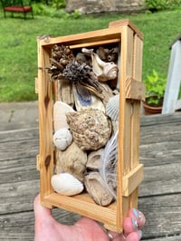 Image 4 of Beach Box #4