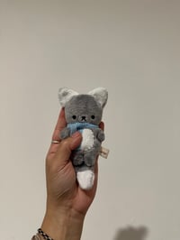 Tiny Wolf